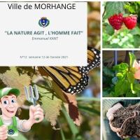 La nature agit, l'homme fait : Semaine 12